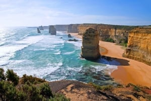 Melbourne: Great Ocean Road, Penguin Parade & Free City Tour