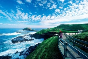 Melbourne: Great Ocean Road, Penguin Parade & Free City Tour