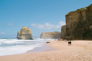 Great Ocean Road & 12 Apostles Classic Tour from Melbourne