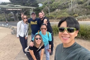 GREAT OCEAN ROAD [BARE 5 PERSONER] Dyktig fotografguide