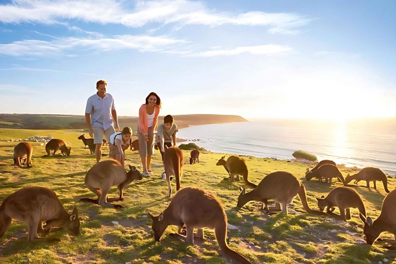 Great Ocean Road and Wildlife Day Tour