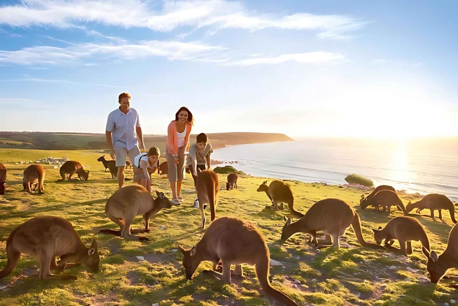 Jednodniowa wycieczka Great Ocean Road i dzika przyroda