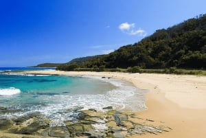 Jednodniowa wycieczka Great Ocean Road z Mel (wycieczka z językiem chińskim)