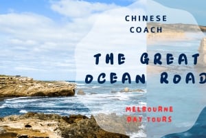 Jednodniowa wycieczka Great Ocean Road z Mel (wycieczka z językiem chińskim)