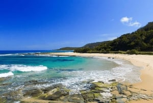 Great Ocean Road Day Tour From Mel (Chinese Speaking Tour)