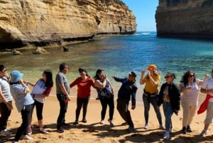 Excursion d'une journée sur la Great Ocean Road au départ de Melbourne