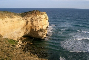 Best Great Ocean Road Tours