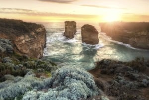Great Ocean Road: omgekeerde tour – vermijd de drukte, meer stops