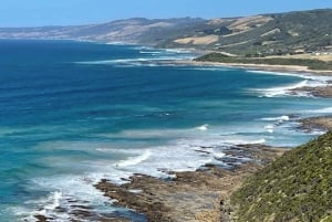 Great Ocean Road EXPRESS to 12Apostles first, scenic daytrip