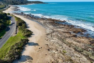 Great Ocean Road Wildlife Reverse LUX Tour 13Px afhentning på hotel