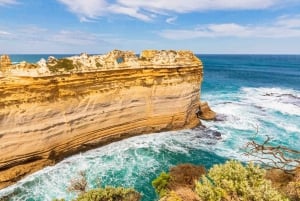 Great Ocean Road Premium Small Group Tour In Luxury Bus