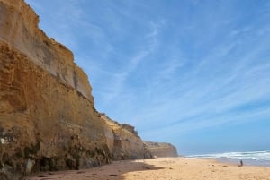 From Melbourne: Great Ocean Road Premium Small-Group Tour