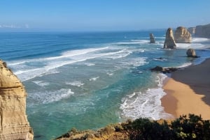 From Melbourne: Great Ocean Road Premium Small-Group Tour