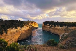 From Melbourne: 12 Apostles & Great Ocean Road Private Tour