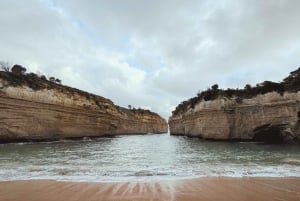 From Melbourne: 12 Apostles & Great Ocean Road Private Tour