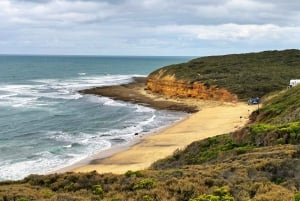 From Melbourne: 12 Apostles & Great Ocean Road Private Tour