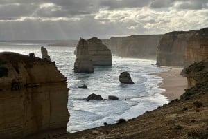 From Melbourne: 12 Apostles & Great Ocean Road Private Tour