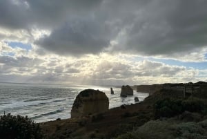 From Melbourne: 12 Apostles & Great Ocean Road Private Tour