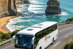 Tours grupales: Great Ocean Road al revés y helicóptero