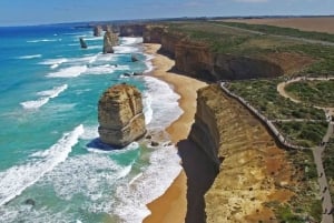 Great Ocean Road Wildlife Reverse LUX Tour 13Px afhentning på hotel