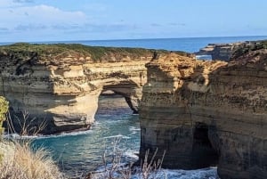 Great Ocean Road Wildlife Reverse LUX Tour 13Px afhentning på hotel