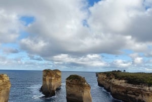 Great Ocean Road Wildlife Reverse LUX Tour 13Px afhentning på hotel