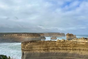 Great Ocean Road Wildlife Reverse LUX Tour 13Px afhentning på hotel