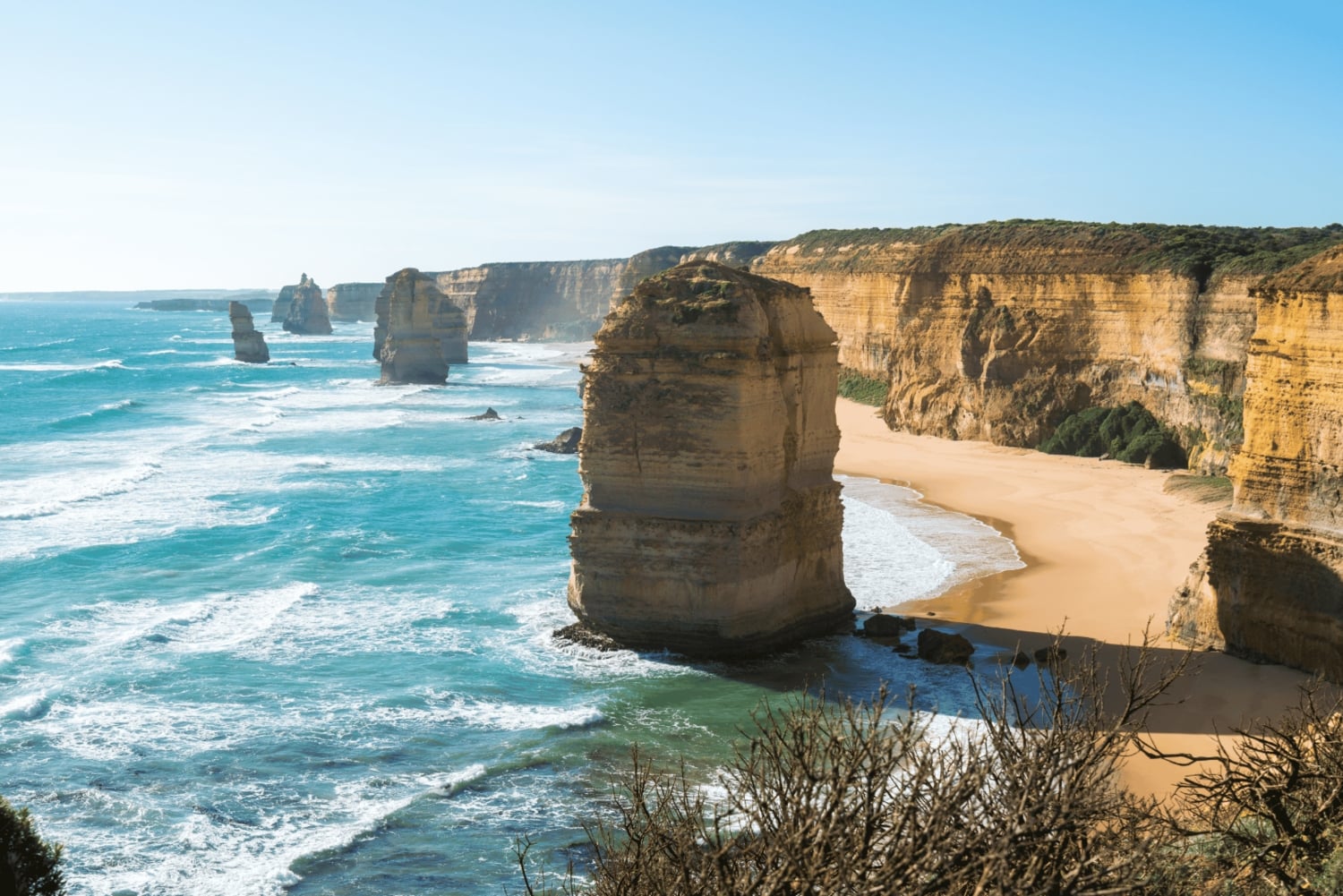 Great Ocean Road: tour in kleine groep met ethische dieren
