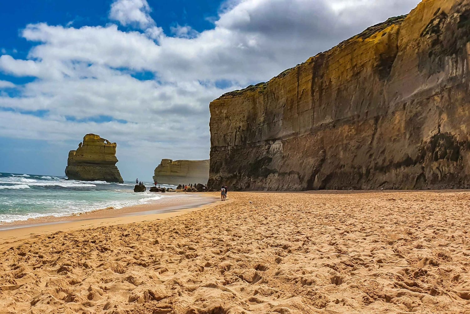 Great Ocean Road: tour in kleine groep met ethische dieren
