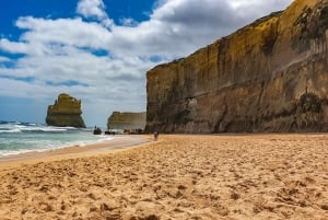 Great Ocean Road: tour in kleine groep met ethische dieren