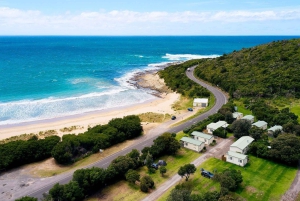 Great Ocean Road Tour Melbourne Relaxed Way In Premium coach