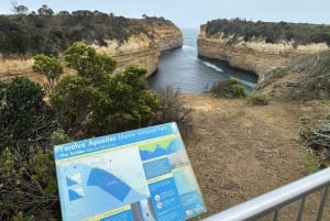 Tour por la Great Ocean Road PRIVADO DE LUJO - Entrada gratuita, servicio de recogida del hotel