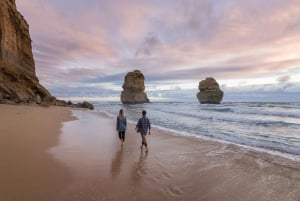 Tour por la Great Ocean Road PRIVADO DE LUJO - Entrada gratuita, servicio de recogida del hotel