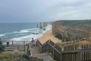 Great Ocean Road Tour PRIVATE LUXURY-FREE entry,hotel pickup