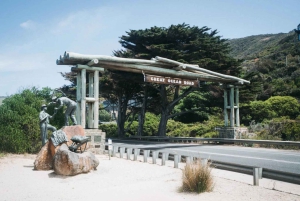 Great Ocean Road Tour PRIVATE LUXURY-FREE entry,hotel pickup