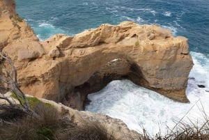 Melbourne: Private Great Ocean Road & 12 Apostles Tours