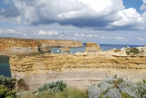 Melbourne: Private Great Ocean Road & 12 Apostles Tours