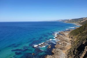 Melbourne: Private Great Ocean Road & 12 Apostles Tours