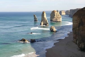 Melbourne: Private Great Ocean Road & 12 Apostles Tours