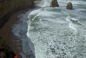 Melbourne: Private Great Ocean Road & 12 Apostles Tours