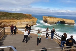 Melbourne: Private Great Ocean Road & 12 Apostles Tours