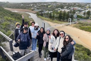 Melbourne: Private Great Ocean Road & 12 Apostles Tours