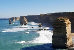 Melbourne: Private Great Ocean Road & 12 Apostles Tours