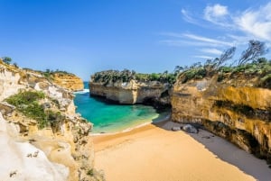 Melbourne: Private Great Ocean Road & 12 Apostles Tours