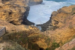 Melbourne: Private Great Ocean Road & 12 Apostles Tours