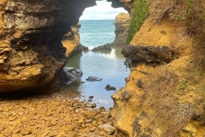 Melbourne: Private Great Ocean Road & 12 Apostles Tours