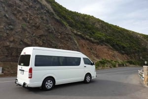 Melbourne: Private Great Ocean Road & 12 Apostles Tours