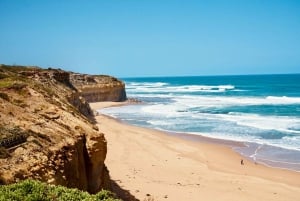 Great Ocean Road Wildlife Reverse LUX Tour 13Px afhentning på hotel