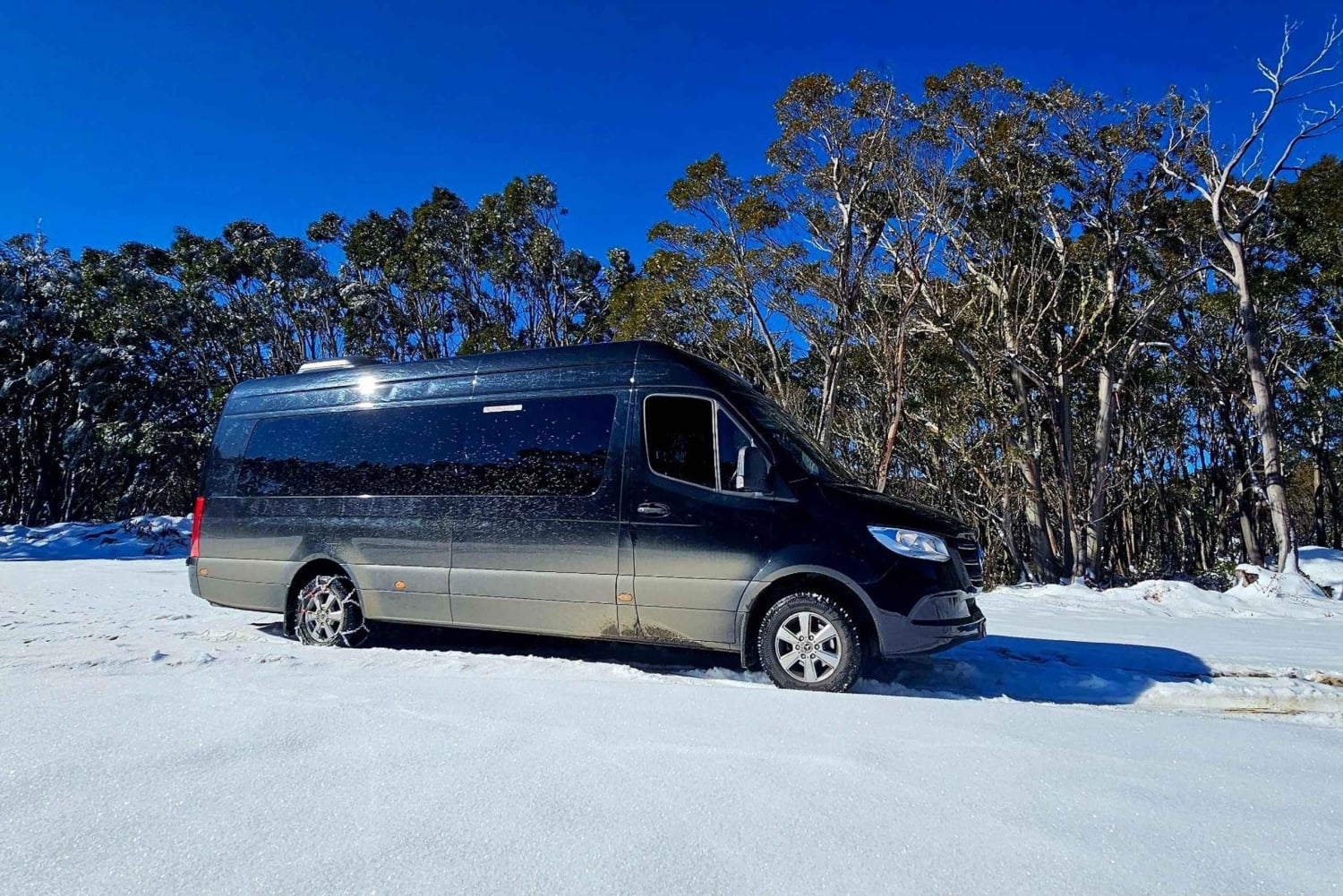 Upeat yksityiset retket Luxe Bus Lake Mountain Snow Play Tour