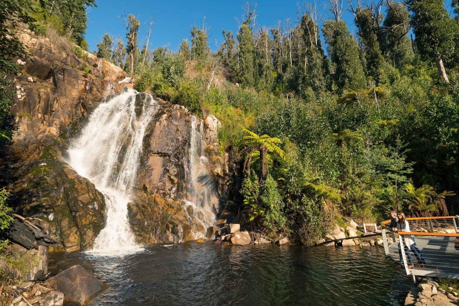 Upeat yksityiset retket Luxe Bus Lake Mountain Snow Play Tour